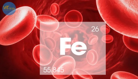 Thiếu máu do thiếu sắt
