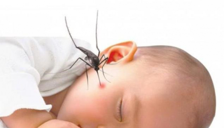 Cách chăm sóc trẻ bị sốt xuất huyết tại nhà