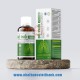 BỔ PHỔI VSHINE - Hỗ trợ giảm ho, giữ ấm đường hô hấp