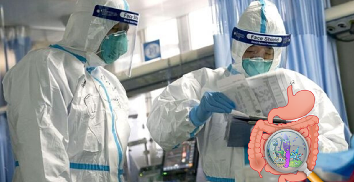 tim thay virus corona trong phan