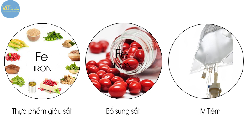 bo sung sat cho co the