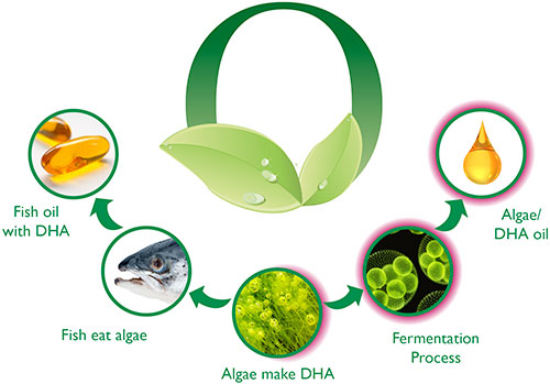 dha la gi