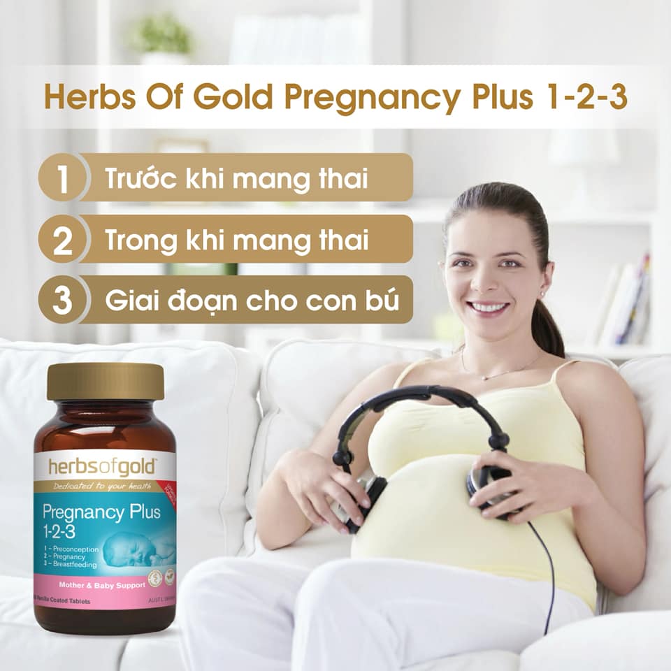 Herb of gold pregnacy