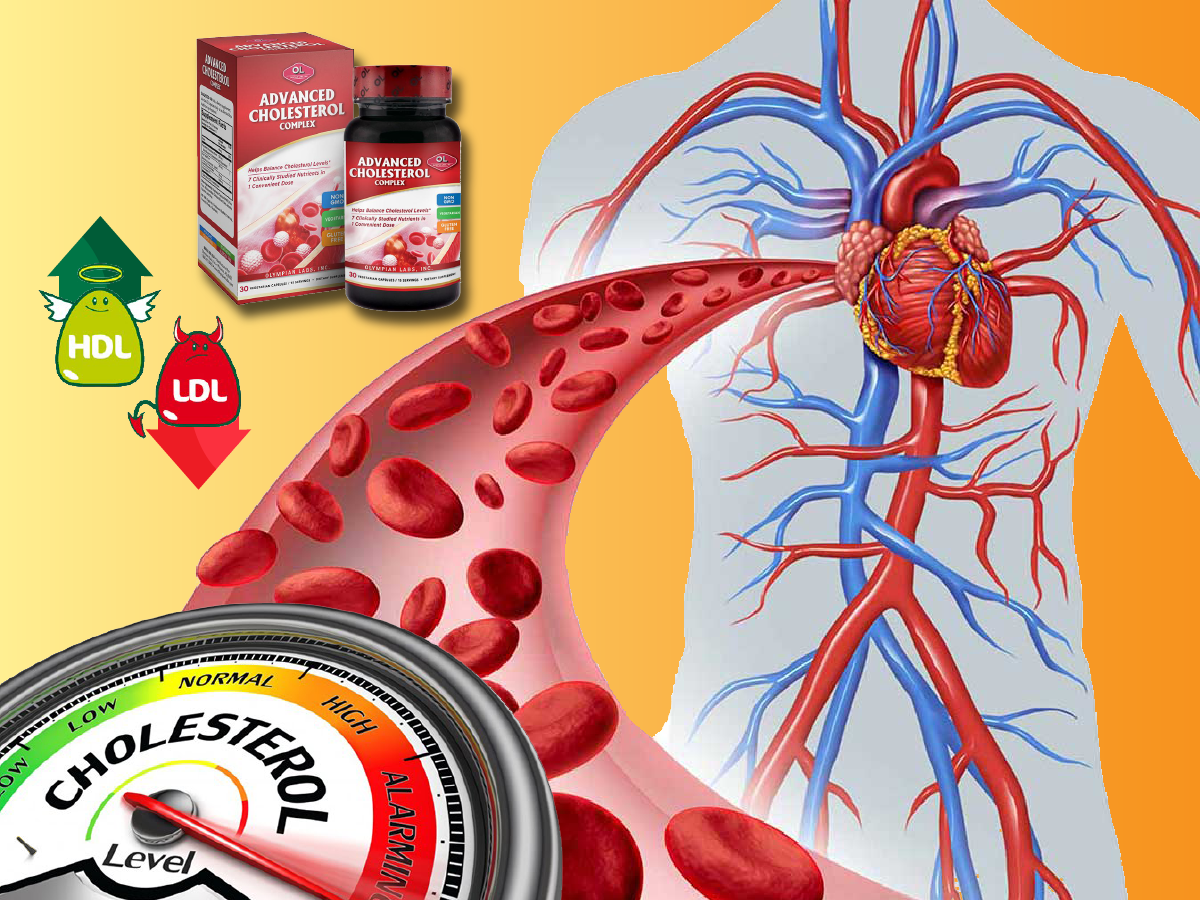 Advenced cholesterol 01
